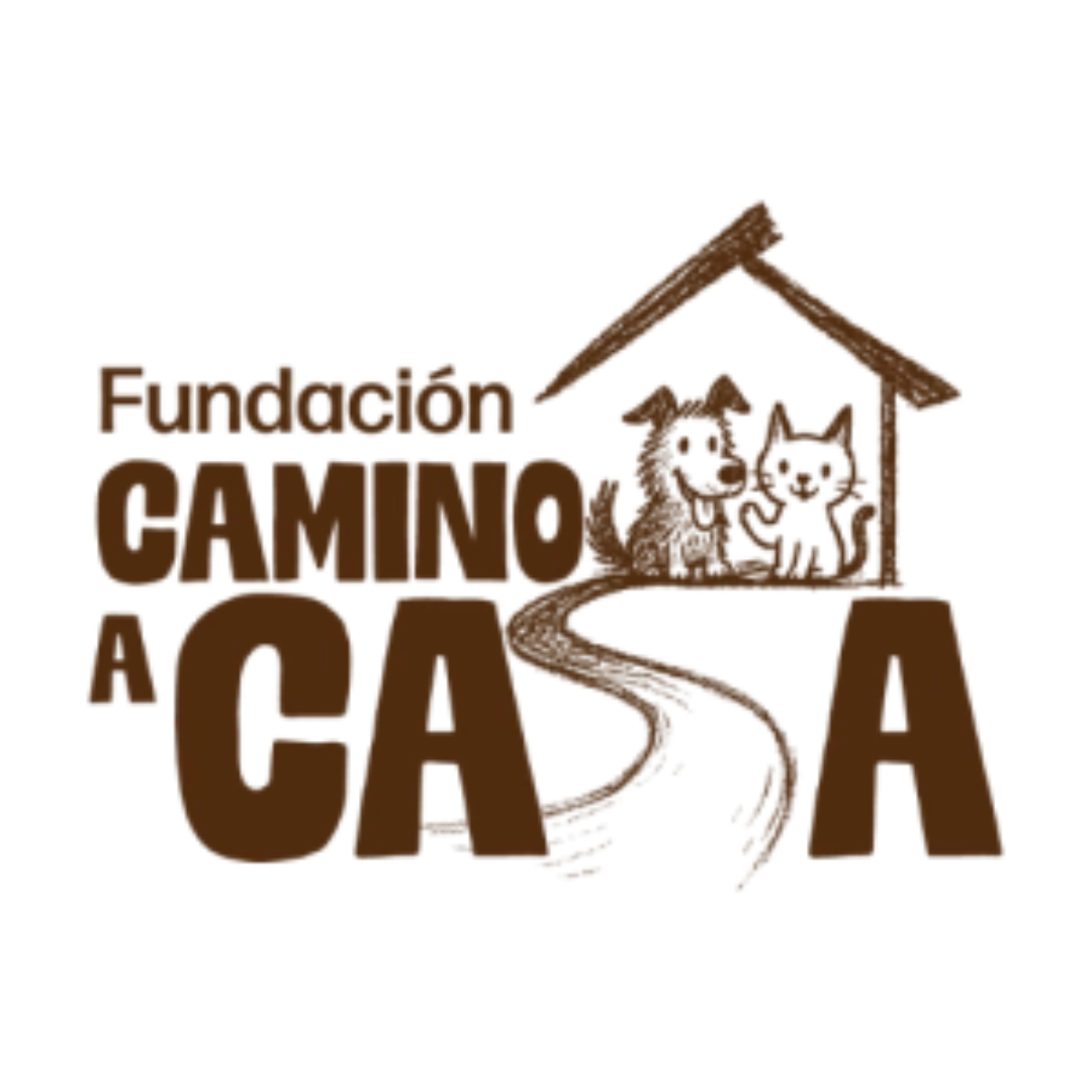 Camino